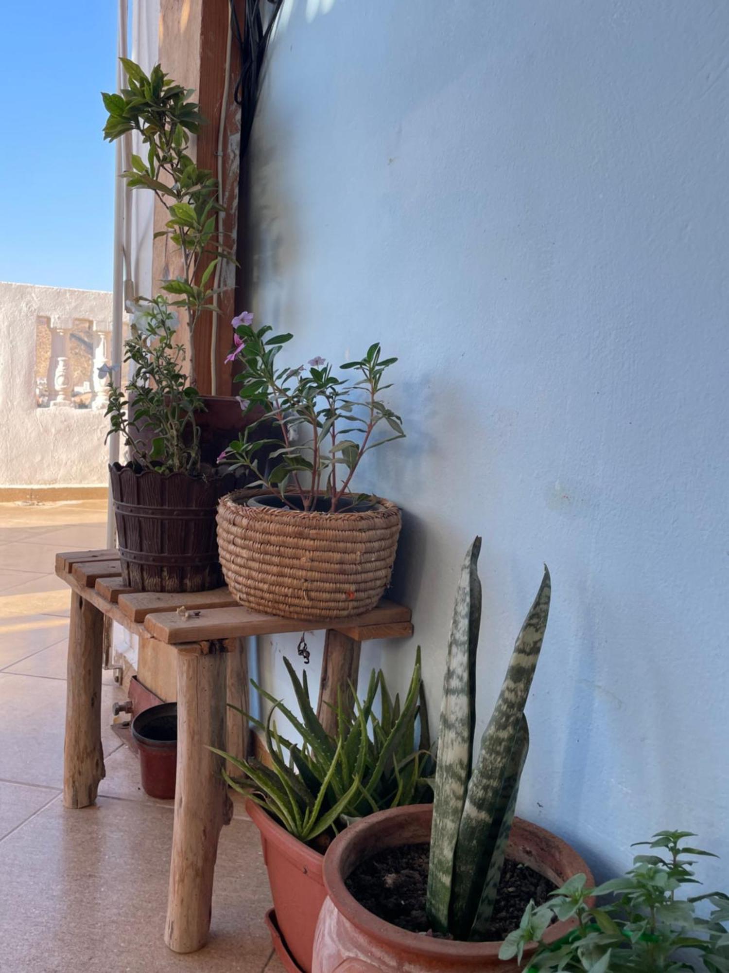 Kosasurfmorocco Otel Aourir Dış mekan fotoğraf